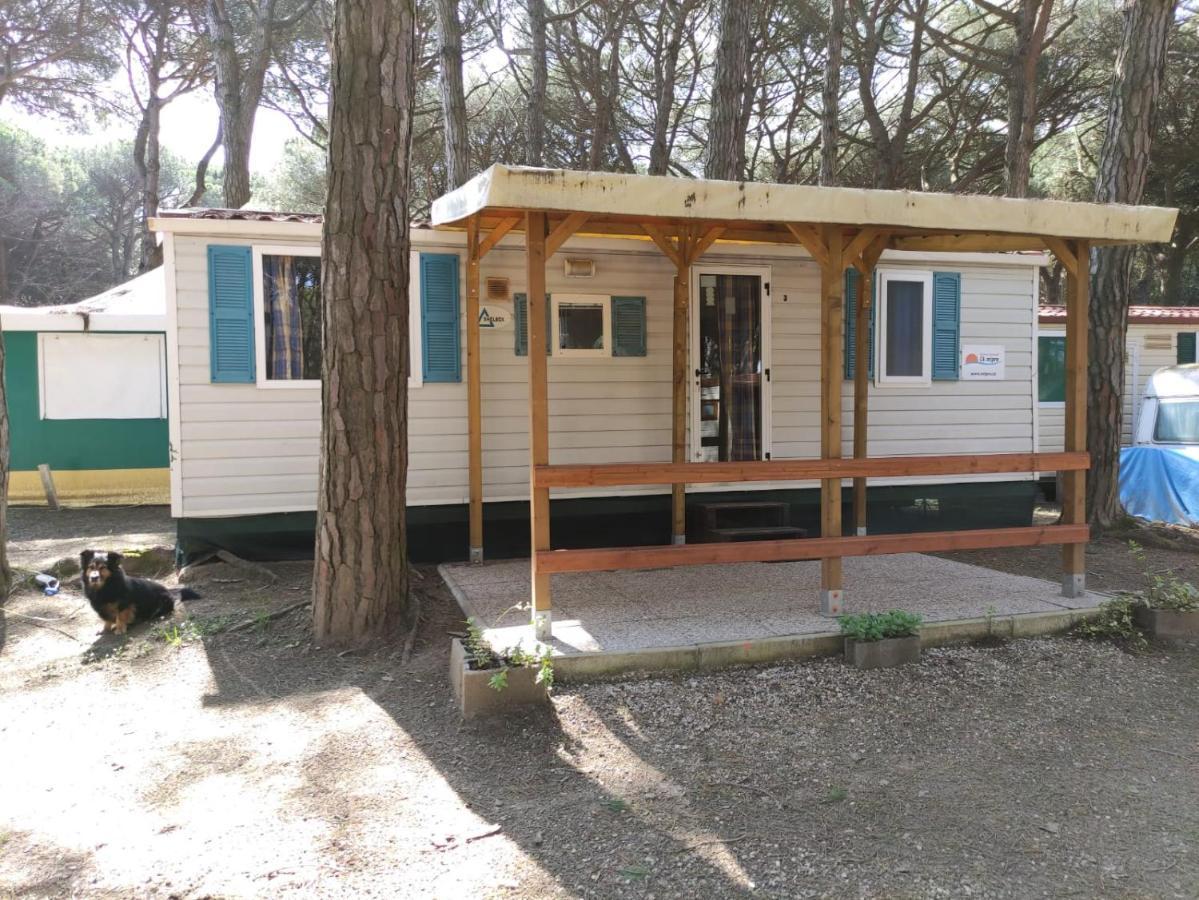 Holiday home Mipro Mobilhome 5 *
