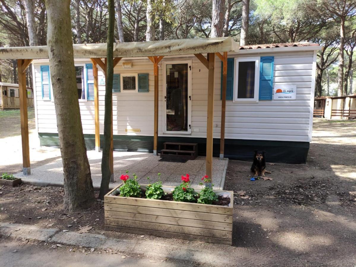 Mipro Mobilhome 5 Holiday home
